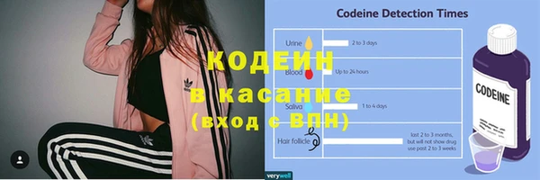 гашик Алексин