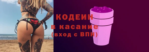 гашик Алексин
