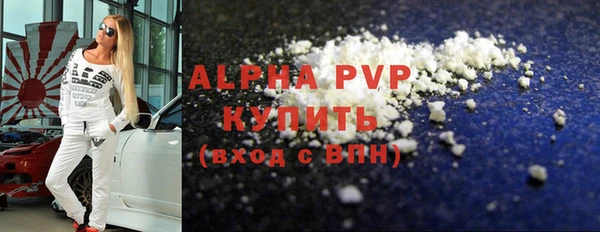 гашик Алексин
