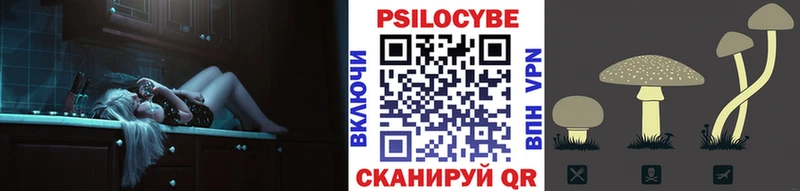 что такое наркотик  Лаишево  Галлюциногенные грибы Psilocybine cubensis 